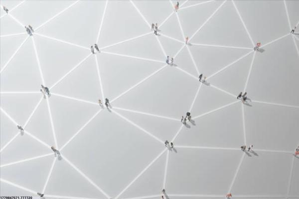 体育项目中的手脚并用运动详解